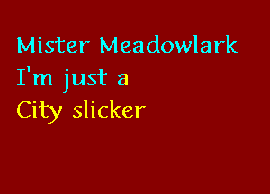 Mister Meadowlark
I'm just a

City slicker