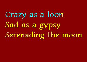 Crazy as a loon
Sad as a gypsy

Serenading the moon