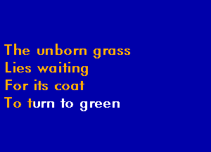The unborn grass
Lies waiting

For its coat
To turn to green