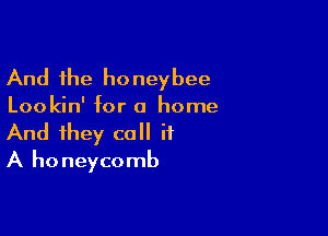And the ho neybee

Lookin' for a home

And they call if
A ho neycomb