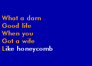 What a darn
Good life

When you
Got a wife
Like honeycomb