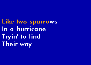 Like fwo sparrows
In a hurricane

Tryin' to find
Their way