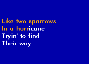 Like fwo sparrows
In a hurricane

Tryin' to find
Their way