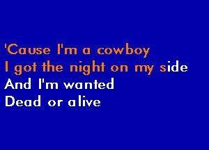 'Cause I'm a cowboy
I got the night on my side

And I'm wanted
Dead or alive