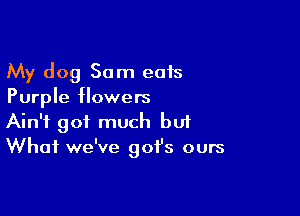 My dog Sam eats
Purple flowers

Ain't got much bui
What we've got's ours