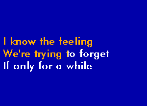 I know the feeling

We're trying to forget
If only for 0 while