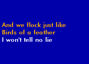 And we flock iusi like

Birds of a feather
I won't tell no lie