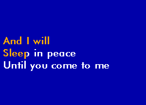 And I will

Sleep in peace
Until you come to me