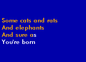 Some cats and rats
And elephonis

And sure as
You're born