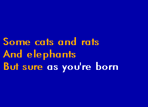 Some cats and rats

And elephants
But sure as you're born