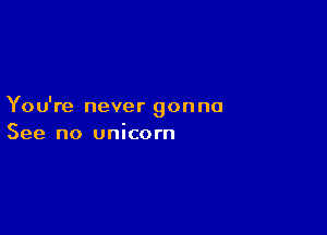 You're never gonna

See no unicorn