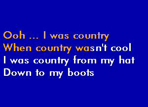 Ooh I was couniry
When couniry was n'f cool
I was couniry from my hat
Down to my boots