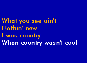 What you see ain't
Noihin' new

I was country
When country was n'f cool