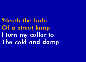 'Neaih the halo
Of a street lamp

I turn my collar to

The cold and damp