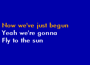 Now we've just begun

Yeah we're gonna
Fly to the sun