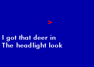 I got that deer in
The headlight look
