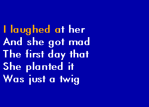 I laughed at her
And she got mud

The first day that
She planted it
Was just a twig