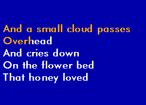 And a small cloud passes

Overhead

And cries down

On the flower bed
That honey loved