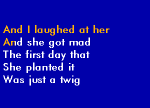 And I laughed at her
And she got mud

The first day that
She planted it
Was just a twig