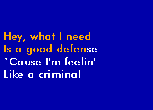 Hey, what I need
Is a good defense

CaUse I'm feelin'
Like a criminal