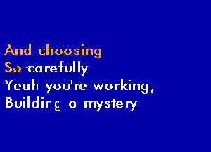 And choosing
So to refully

Yeah you're working,
Buildirg 0 mystery