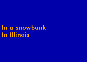 In a snowbank

In Illinois