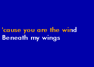 'ca use you are the wind

Be neaih my wings