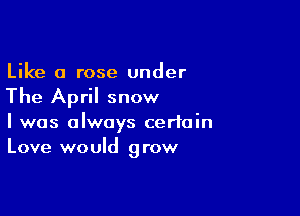 Like a rose under

The April snow

I was always certain
Love would grow