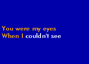 You were my eyes

When I could n'i see