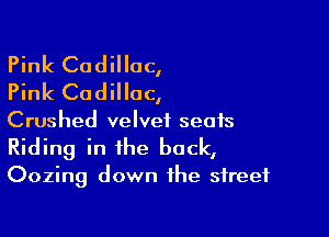 Pink Cadillac,
Pink Cadillac,

Crushed velvet seats
Riding in the back,
Oozing down the street