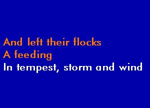 And left their flocks

A feeding

In tempest, storm and wind