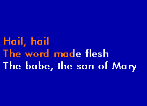 Hail, hail

The word made flesh
The babe, the son of Mary