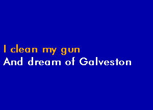 I clean my gun

And dream of Galveston