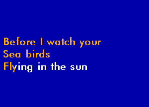Before I watch your

Sea birds
Flying in the sun