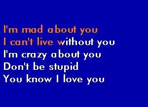 I'm mad about you
I can't live without you

I'm crazy about you
Don't be stupid
You know I love you