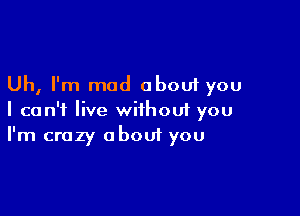 Uh, I'm mad about you

I can't live wiihouf you
I'm crazy about you