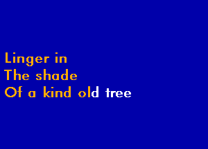 Linger in

The shade

Of a kind old tree