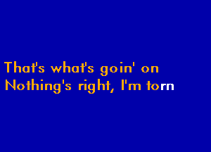 Thai's what's goin' on

Noihing's right, I'm torn