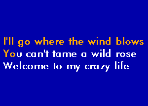 I'll go where he wind blows
You can't fame a wild rose
Welcome to my crazy life