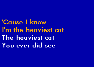 'Cause I know
I'm the heaviest cat

The heaviest cat
You ever did see