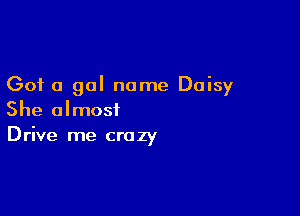 Got a gal name Daisy

She almost
Drive me crazy