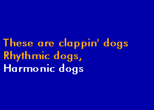 These are cloppin' dogs

Rhythmic dogs,

Harmonic dogs