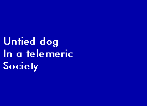 Untied dog

In a ielemeric

Society
