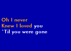 Oh I never

Knew I loved you
Til you were gone