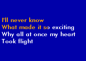 I'll never know
What made if so exciting

Why all at once my heart
Took flight