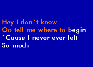 Hey I donW know
00 tell me where to begin

CaUse I never ever felt
So much