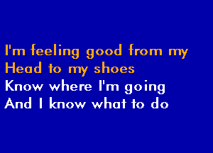 I'm feeling good from my
Head to my shoes

Know where I'm going
And I know what to do