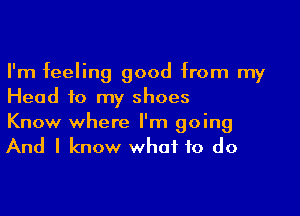 I'm feeling good from my
Head to my shoes

Know where I'm going
And I know what to do