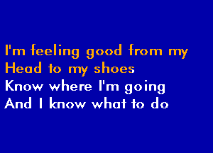 I'm feeling good from my
Head to my shoes

Know where I'm going
And I know what to do