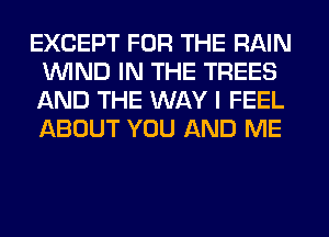 EXCEPT FOR THE RAIN
WIND IN THE TREES
AND THE WAY I FEEL
ABOUT YOU AND ME